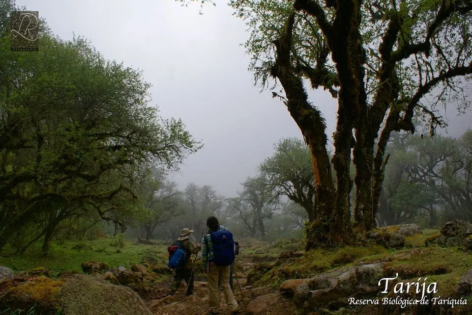 Reserva Nacional de flora y fauna de Tariquía Tarija-Bolivia