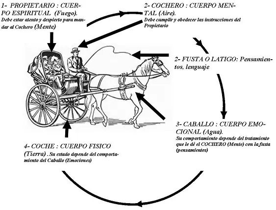 La parábola del carruaje