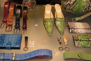 pieles de reptiles pieles de reptiles