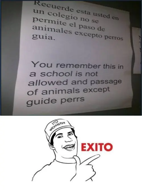 El Meme '' Exito ''  (Humorístico)