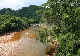 resarvas