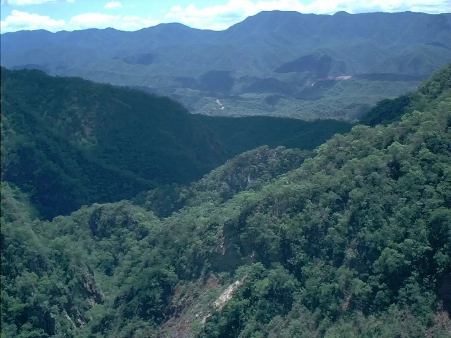 Tarija