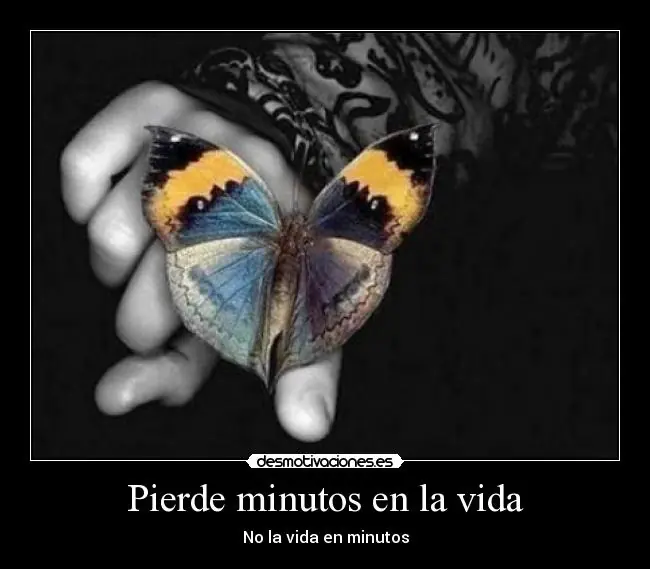 Sinceridad