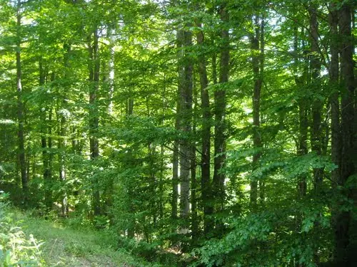 Te presento a Macedonia