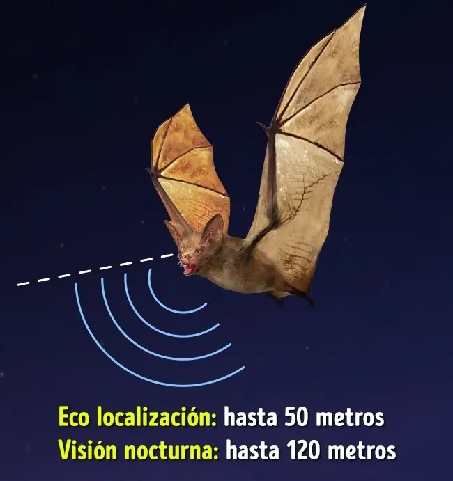 Necesitamos