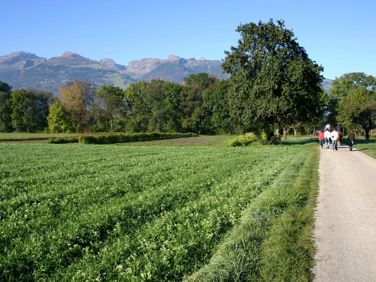 Liechtenstein, el desconocido y rico país europeo Liechtenstein, el desconocido y rico país europeo