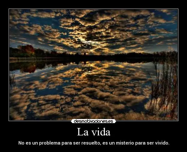 vida