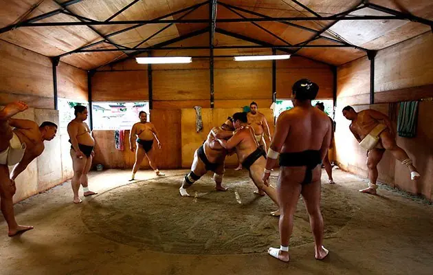 luchadores luchadores