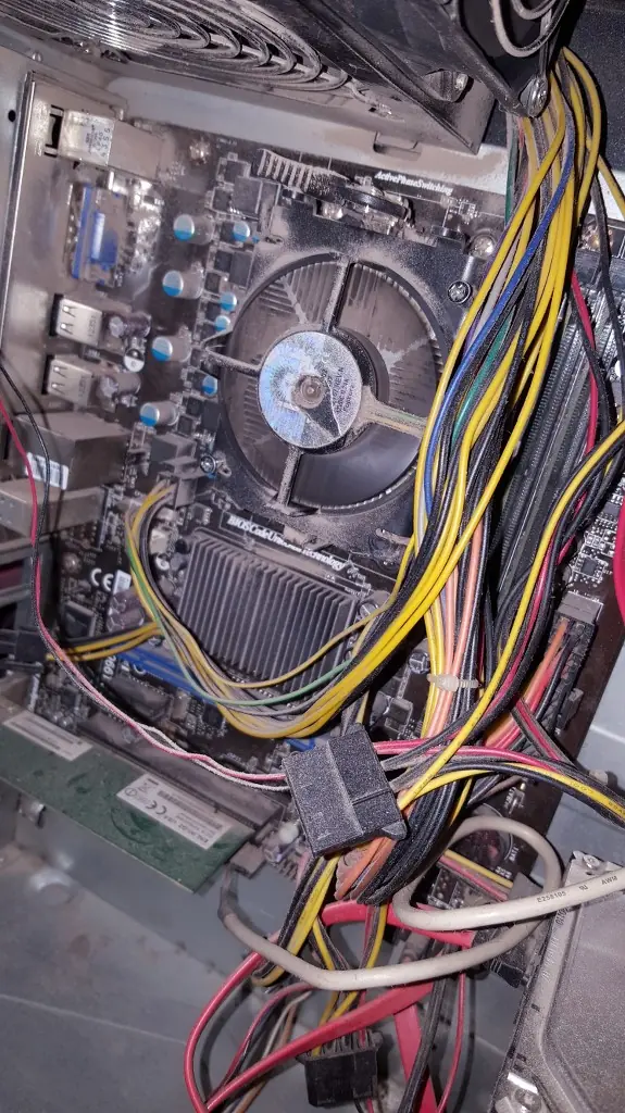 amd