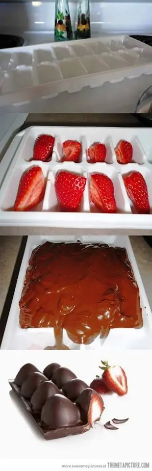 gelatina
