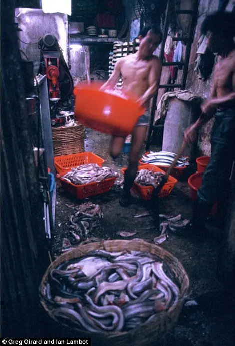 Kowloon : La ciudad amurallada