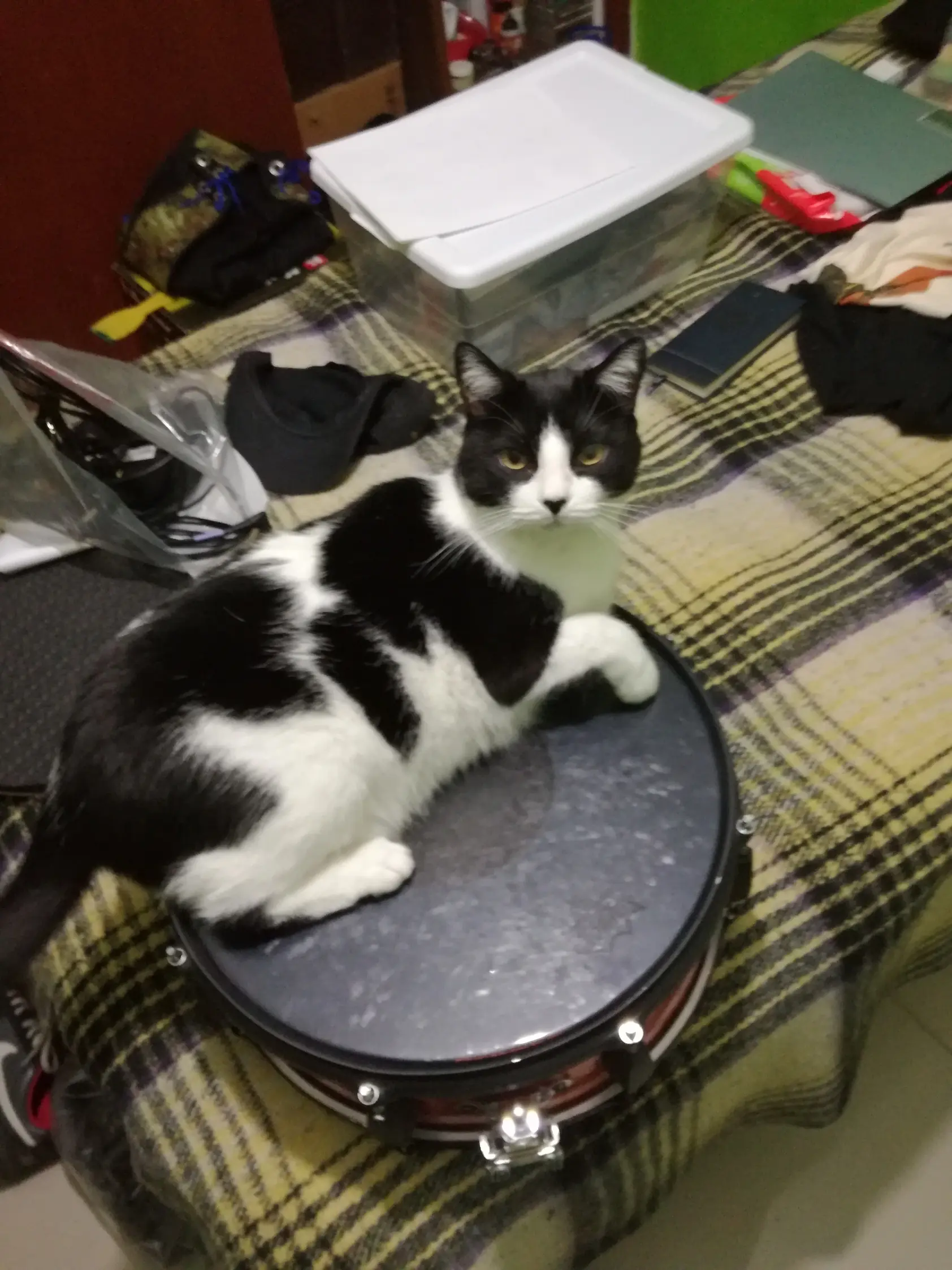 Baterias