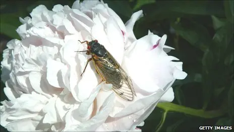 El código oculto de la naturaleza