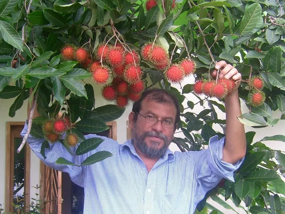 Exóticas y deliciosas, si las conoces pasa y comenta! Exóticas y deliciosas, si las conoces pasa y comenta!