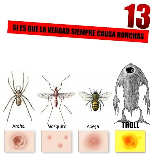 frases frases