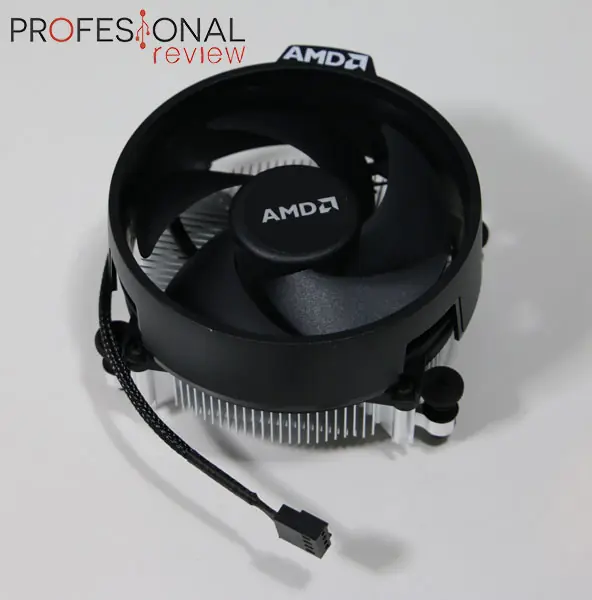 amd