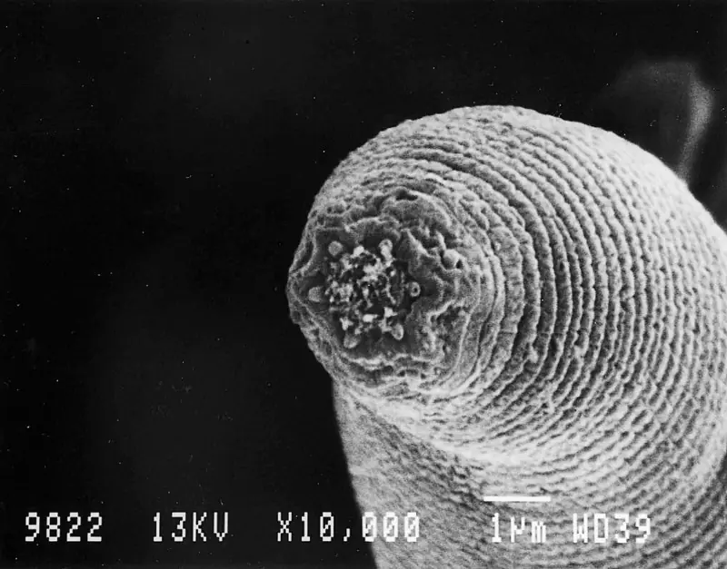 Estos son los lugares más profundos del planeta Tierra