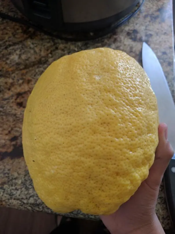 comida comida