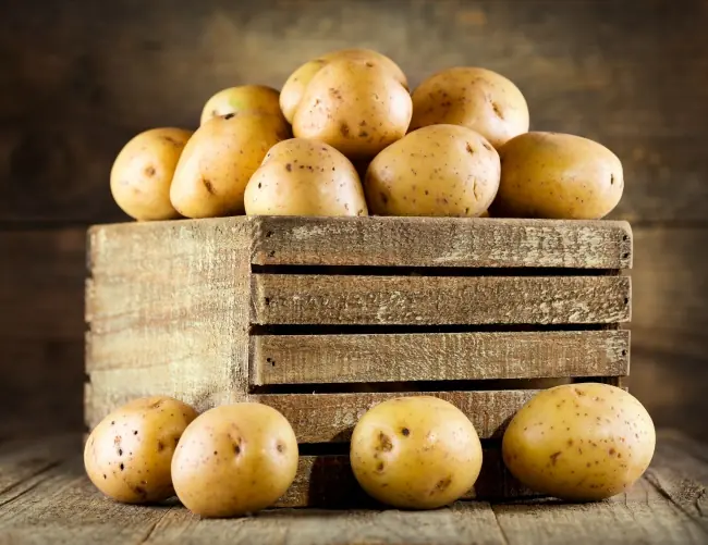 alimentos