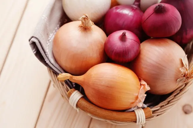 alimentos