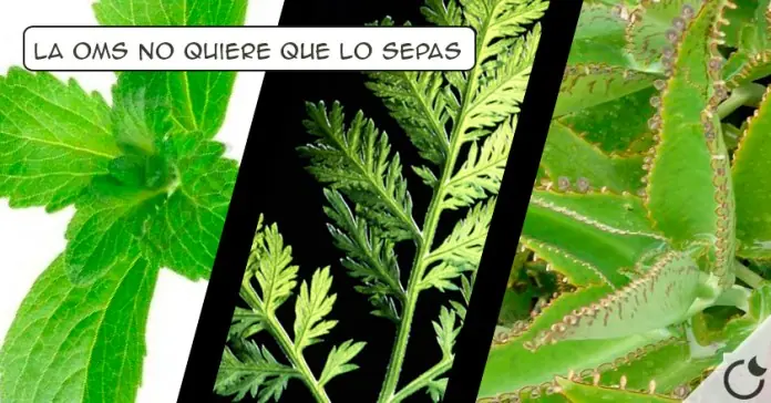 info