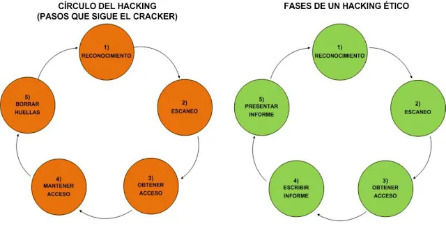 Fases del hacking ético.Taller de hacking ético parte 4