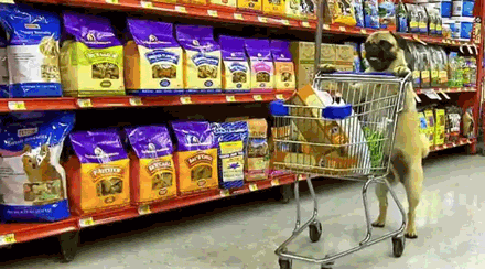 ahorro