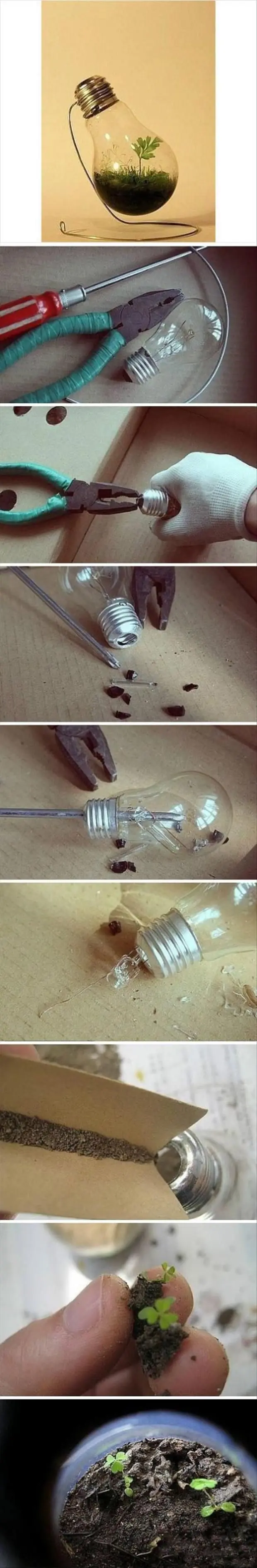 ideas