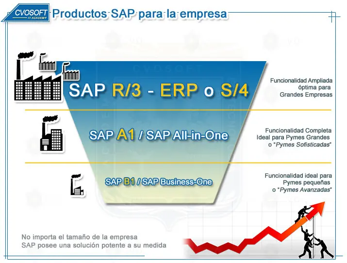 Ya viene el Curso Gratuito "Aprendiendo SAP desde CERO"