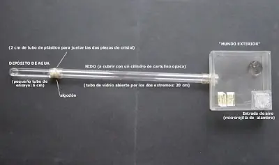 artificiales