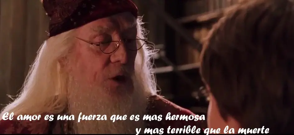 harry potter harry potter