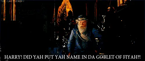 harry potter harry potter