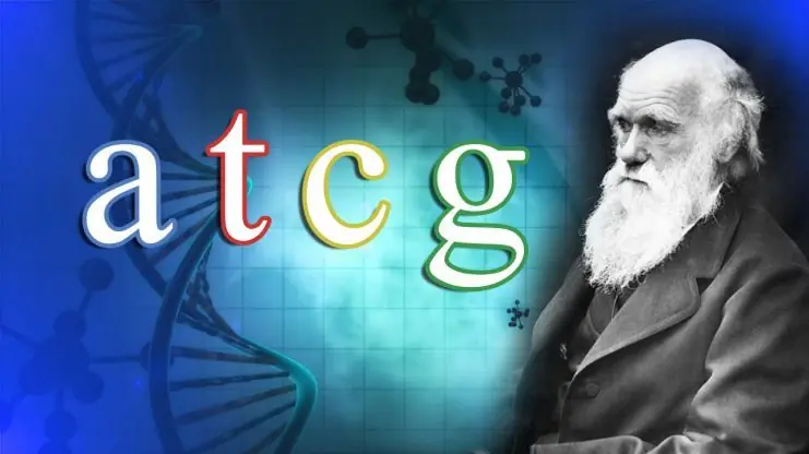 ¿La teoría de la evolución no es valida?