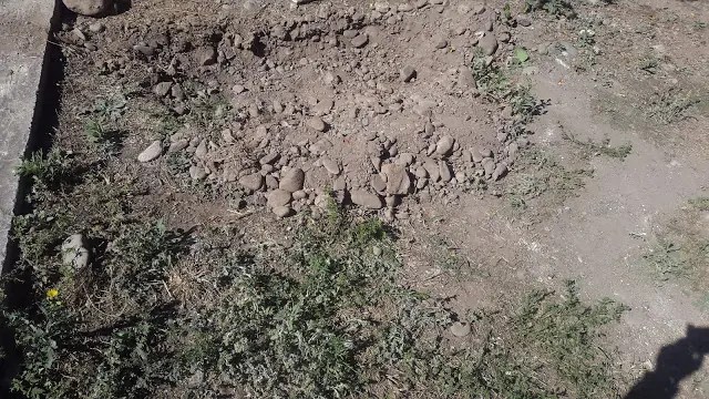 Hice una Mini-Huerta y Fertilizante orgánico (certificada)