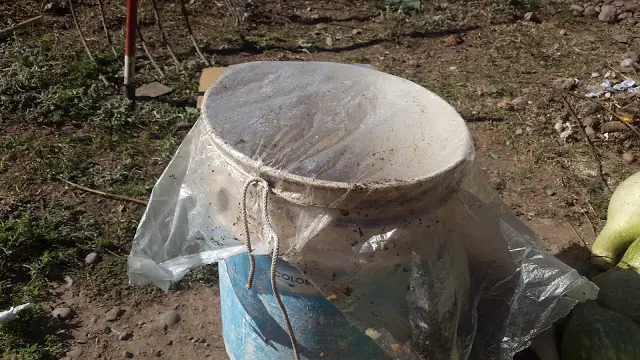 Hice una Mini-Huerta y Fertilizante orgánico (certificada)