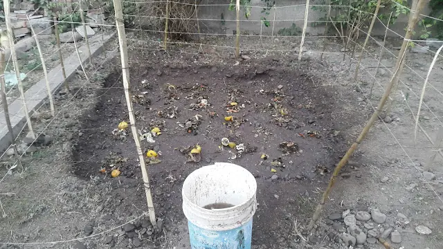 Hice una Mini-Huerta y Fertilizante orgánico (certificada)