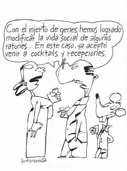 dibujante