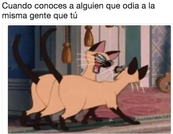 Humor para madrugadores tardíos.
