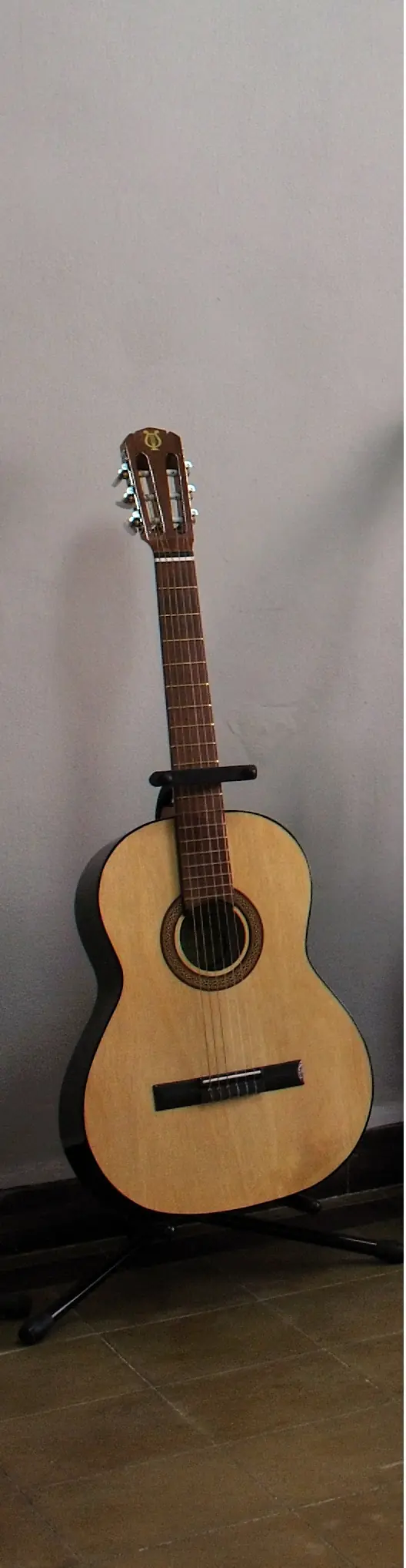 guitarras