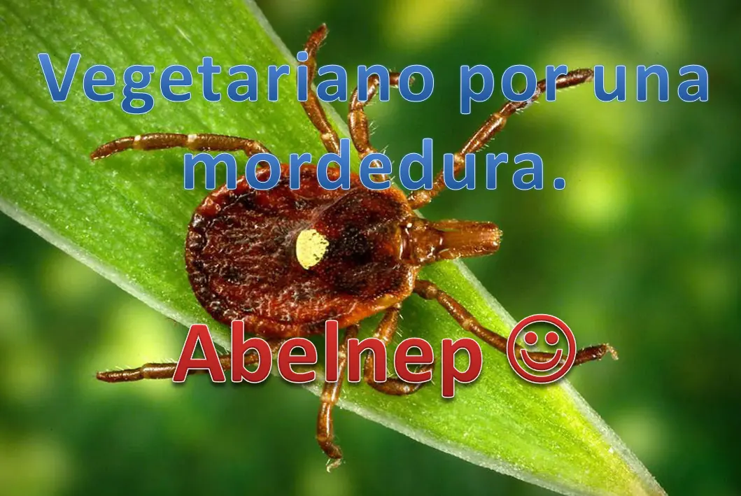 garrapata vegetariana