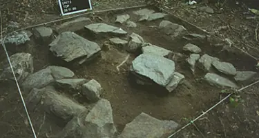 Encuentran cementerio con 200 alienigenas