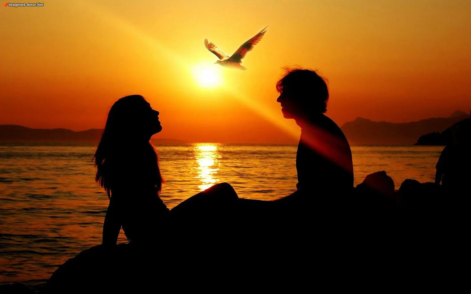 relacion