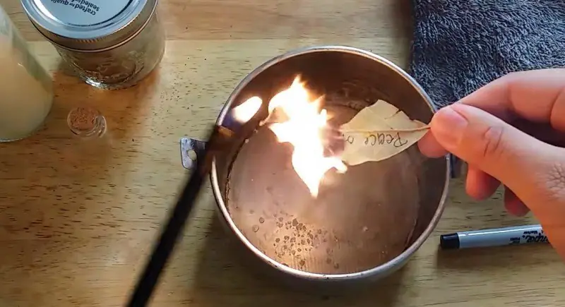 Quema una hoja de laurel en casa y verás lo qué ocurre