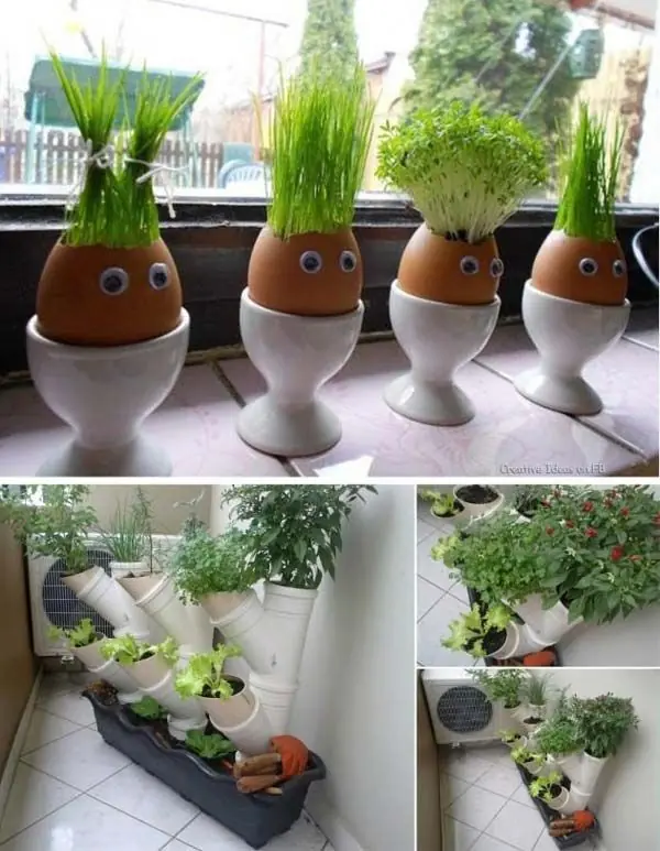 Ideas para un jardín dentro de casa