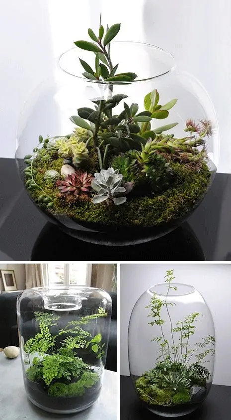 jardin dentro de casa