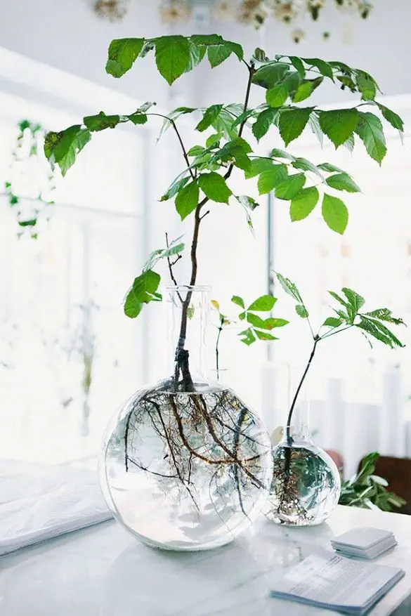 como hacer un jardin