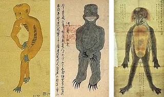 Top 10 Animales Mitológicos (Crípticos)
