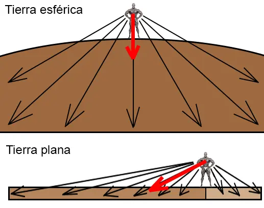 pasaria