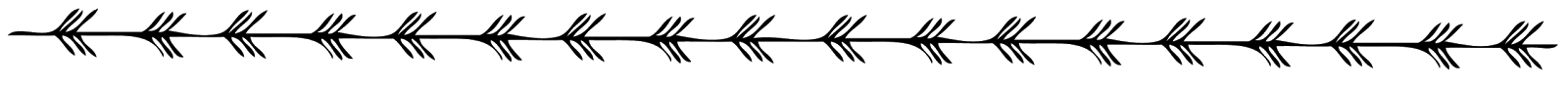 LUNATICO