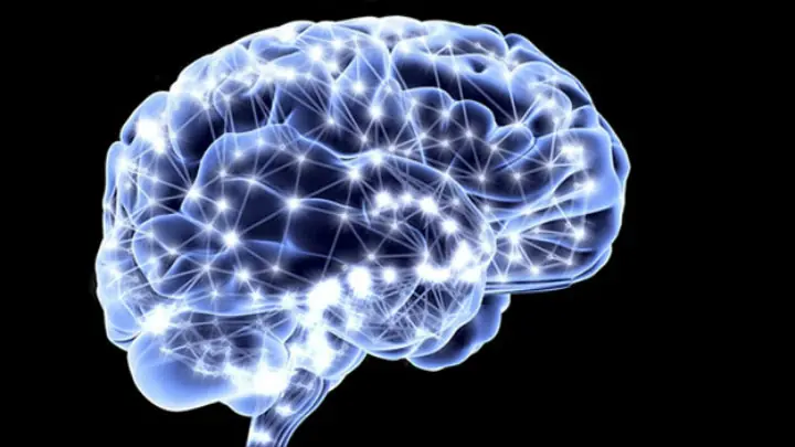 cerebro